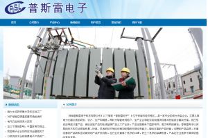 珠海普斯雷電子科技有限公司